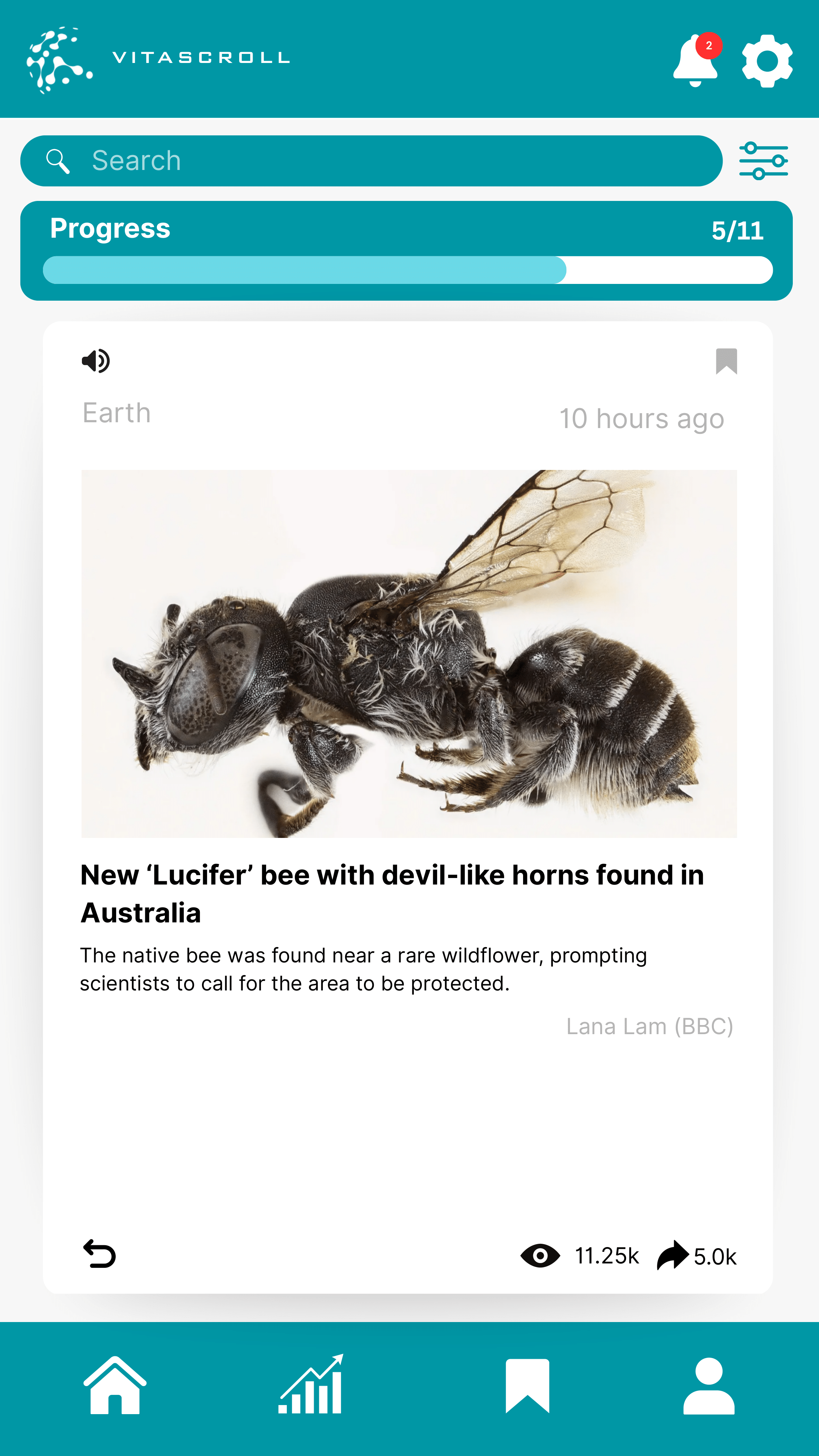 Bee News Mockup